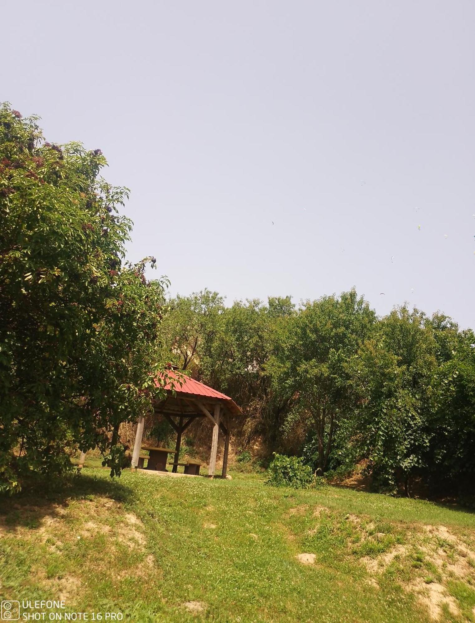 Retro Vendeghaz Villa Nagyharsány Buitenkant foto